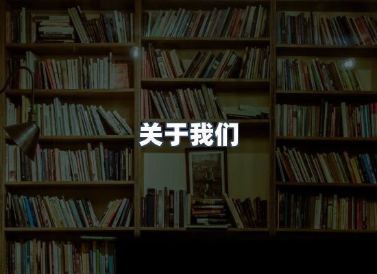 专业团队